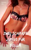 Zwei scharfe Jungs für Bella (eBook, ePUB)