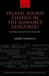 Palatal Sound Change in the Romance... - Bild 1