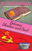 Between Shadow and Soul (White House Protection Force Short Stories, #2) (eBook, ePUB)