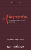 Negro y afro (eBook, ePUB)