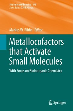 Metallocofactors that Activate Small Molecules (eBook, PDF)