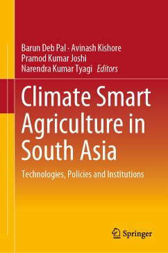 Climate Smart Agriculture in South Asia (eBook, PDF)