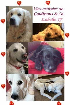 Vies croisées de Goldinous & Co (eBook, ePUB) Cover Vies croisées de Goldinous & Co (eBook, ePUB)