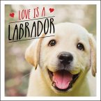 Love is a Labrador (eBook, ePUB)