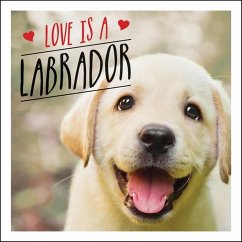 Love is a Labrador (eBook, ePUB) - Ellis, Charlie