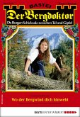 Der Bergdoktor 1993 (eBook, ePUB)