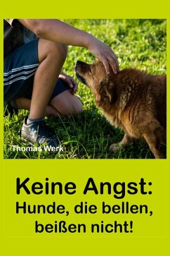 Keine Angst: (eBook, ePUB) - Werk, Thomas