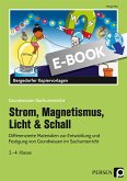 Strom, Magnetismus, Licht & Schall (eBook, PDF)