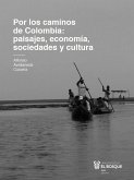 Por los caminos de Colombia: aprendiendo significados de paisajes, economía, sociedades y cultura (eBook, ePUB)