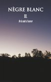 Nègre Blanc (eBook, ePUB)