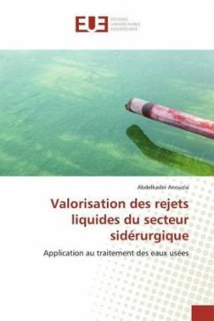 Valorisation des rejets liquides du secteur sidérurgique - Anouzla, Abdelkader