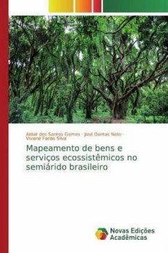 Mapeamento de bens e serviços ecossistêmicos no semiárido brasileiro - Gomes, Aldair dos Santos;Dantas Neto, José;Farias Silva, Viviane