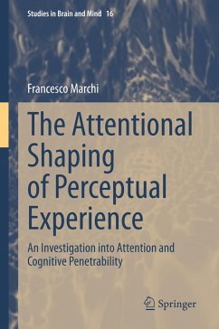 The Attentional Shaping of Perceptual Experience - Marchi, Francesco