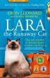 Lara the Runaway Cat - Bild 1
