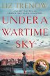 Under a Wartime Sky (eBook, ePUB) - Bild 1