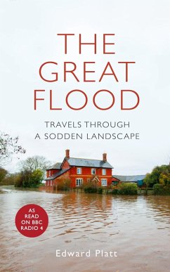 The Great Flood (eBook, ePUB) - Platt, Edward