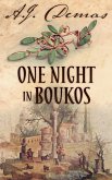 One Night in Boukos (eBook, ePUB)