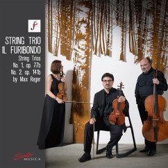 Reger: String Trios,Op.77b & Op.141b - Il Furibondo
