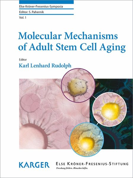 Molecular Mechanisms of Adult Stem Cell Aging (eBook, ePUB)