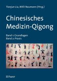 Chinesisches Medizin-Qigong (eBook, PDF)
