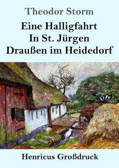 Eine Halligfahrt / In St. Jürgen / Draußen im Heidedorf (Großdruck) - Storm, Theodor