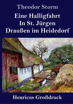 Eine Halligfahrt / In St. Jürgen / Draußen im Heidedorf (Großdruck) - Storm, Theodor