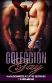 Colección Gay (eBook, ePUB)