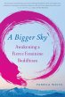 A Bigger Sky (eBook, ePUB) - Bild 1
