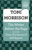 The Writer Before the Page (eBook, ePUB)