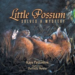 Little Possum Solves a Mystery - Pattinson, Kaye