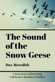 The Sound of the Snow Geese