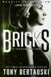Bricks (Large Print Edition) - Bild 1