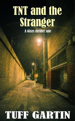 Cover TNT and the Stranger (eBook, ePUB)