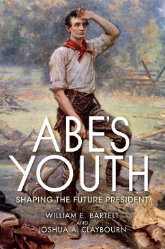 Abe's Youth (eBook, ePUB) Cover Abe's Youth (eBook, ePUB)