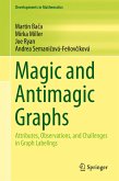 Magic and Antimagic Graphs (eBook, PDF)