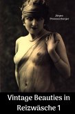 Vintage Beauties in Reizwäsche 1 (eBook, ePUB)