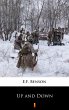 Up and Down (eBook, ePUB) - Bild 1