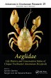Aeglidae (eBook, PDF) - Bild 1