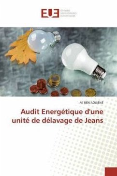 Audit Energétique d'une unité de délavage de Jeans - Ben AOUIENE, Ali