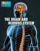 PYP L10 Brain and nervous system 6PK PYP L10 Brain and nervous system 6PK