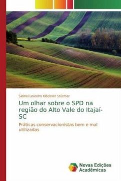 Um olhar sobre o SPD na região do Alto Vale do Itajaí-SC - Stürmer, Sidinei Leandro Klöckner
