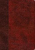 ESV Single Column Journaling Bible, Large Print (Trutone, Burgundy/Red, Timeless Design)