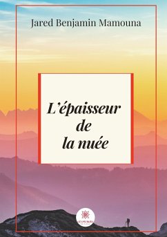 L'épaisseur de la nuée - Benjamin Mamouna, Jared