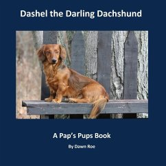 Dashel the Darling Dachshund - Roe, Dawn