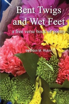 Bent Twigs and Wet Feet: a free verse book of poetry - Rubin, Elliot M.