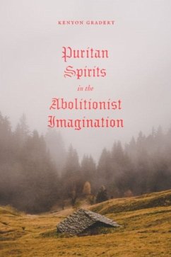 Cover Puritan Spirits in the Abolitionist Imagination