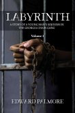 Labyrinth: Volume 1: A STORY OF A YOUNG MAN'S SOJOURN IN THE GEORGIA CHAIN GANG