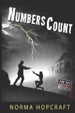 Numbers Count: A Tricia Maguire romantic novel of suspense