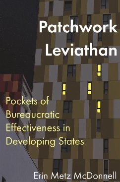 Patchwork Leviathan - McDonnell, Erin Metz