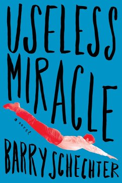 Useless Miracle - Schechter, Barry